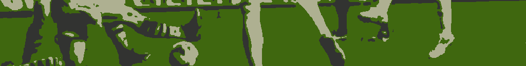 Pronia futbol-01.png