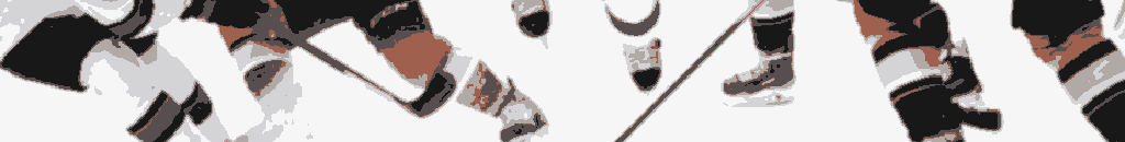 Pronia nhl-06.png