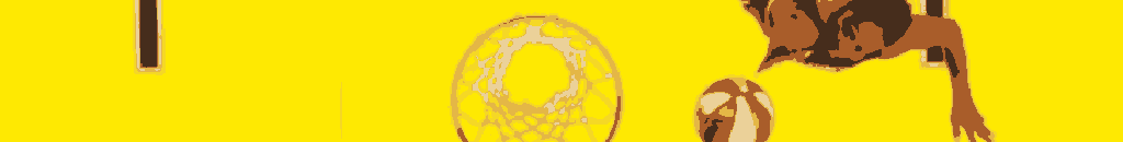 Pronia wnba-05.png